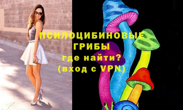 дурь Абаза