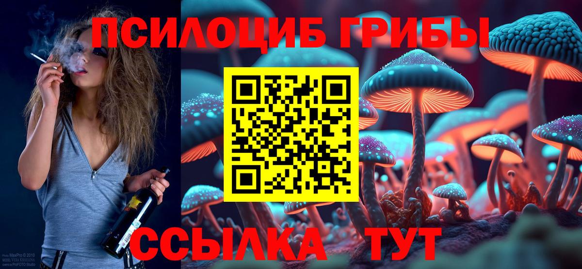Псилоцибиновые грибы мицелий Серпухов