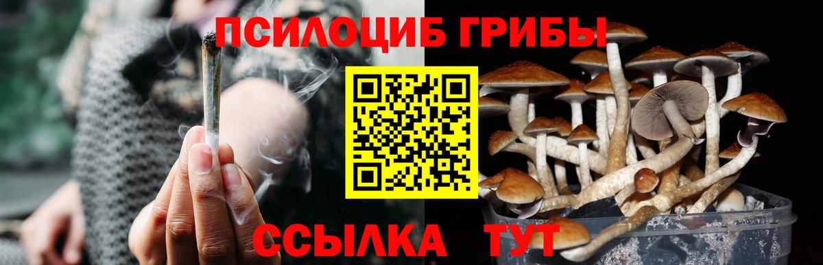 Псилоцибиновые грибы Magic Shrooms  Вход с VPN  купить  цена  Серпухов 
